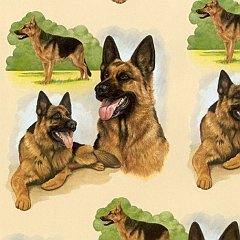 Doggy 4